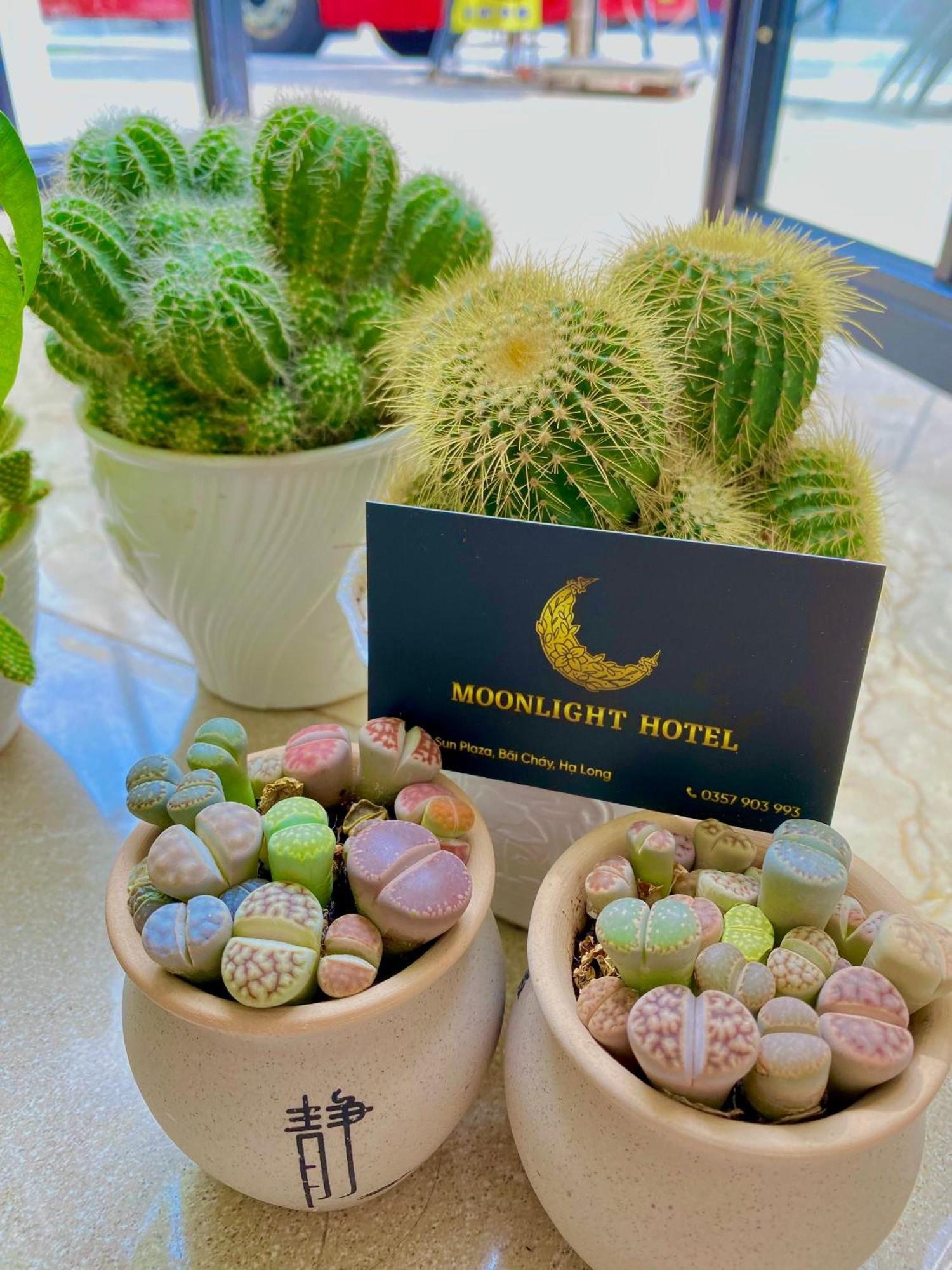Moonlight Hotel ハロン エクステリア 写真